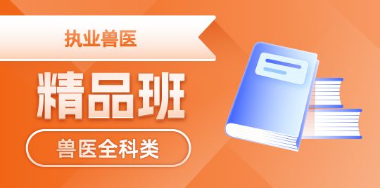 羿文教育
